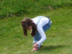 Picking daisies