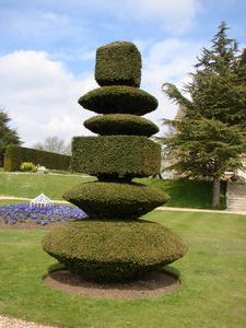 More nice topiary