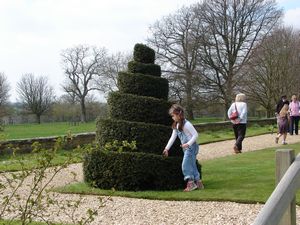 Helter skelter topiary