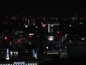 View from the 31st floor of the Keio Plaza Hotel (Shinjuku, Tokyo)