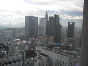 View from the 31st floor of the Keio Plaza Hotel (Shinjuku, Tokyo)