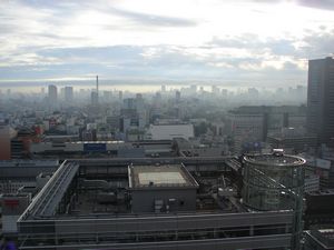 View from the 31st floor of the Keio Plaza Hotel (Shinjuku, Tokyo)