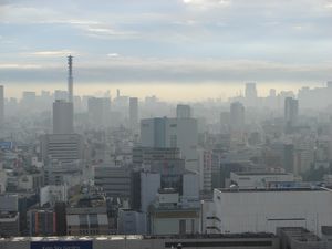 View from the 31st floor of the Keio Plaza Hotel (Shinjuku, Tokyo)