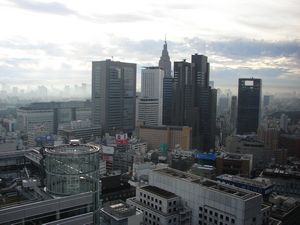 View from the 31st floor of the Keio Plaza Hotel (Shinjuku, Tokyo)