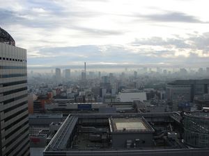 View from the 31st floor of the Keio Plaza Hotel (Shinjuku, Tokyo)