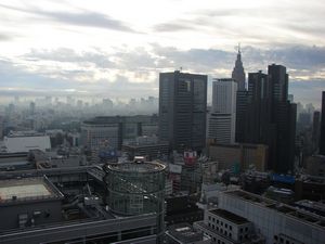 View from the 31st floor of the Keio Plaza Hotel (Shinjuku, Tokyo)
