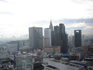 View from the 31st floor of the Keio Plaza Hotel (Shinjuku, Tokyo)