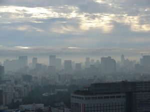 View from the 31st floor of the Keio Plaza Hotel (Shinjuku, Tokyo)