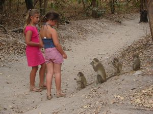 Queuing up for nuts!