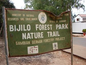 Bijilo Forest Park Nature Trail