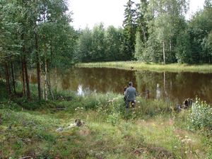 Fishing in the forest