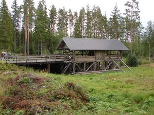 At an old saw mill in the forest