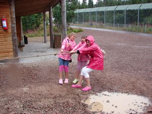 At the Bear Park at Grönklitt