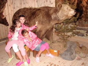 At the Bear Park at Grönklitt