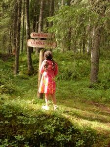 Forest at the "Slipstensmuseet" (or grindstone museum) in Mässbacken.