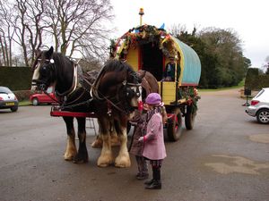 Feeding the horses